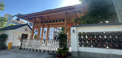 传奇椰马